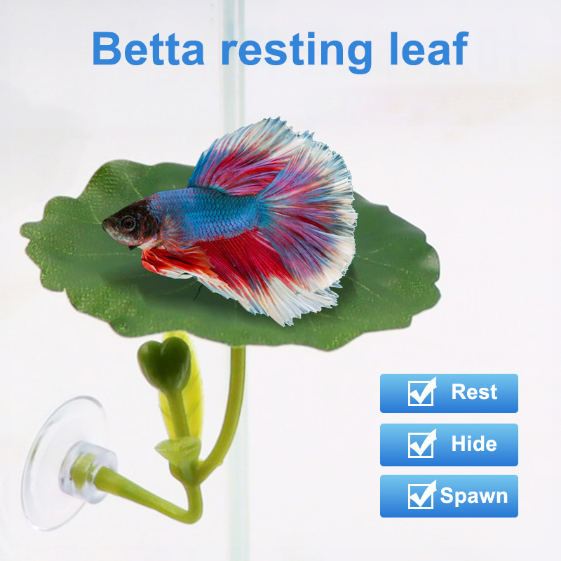 Planted Aquarium Betta - 1 adet yeşil yaprak hamak Betta