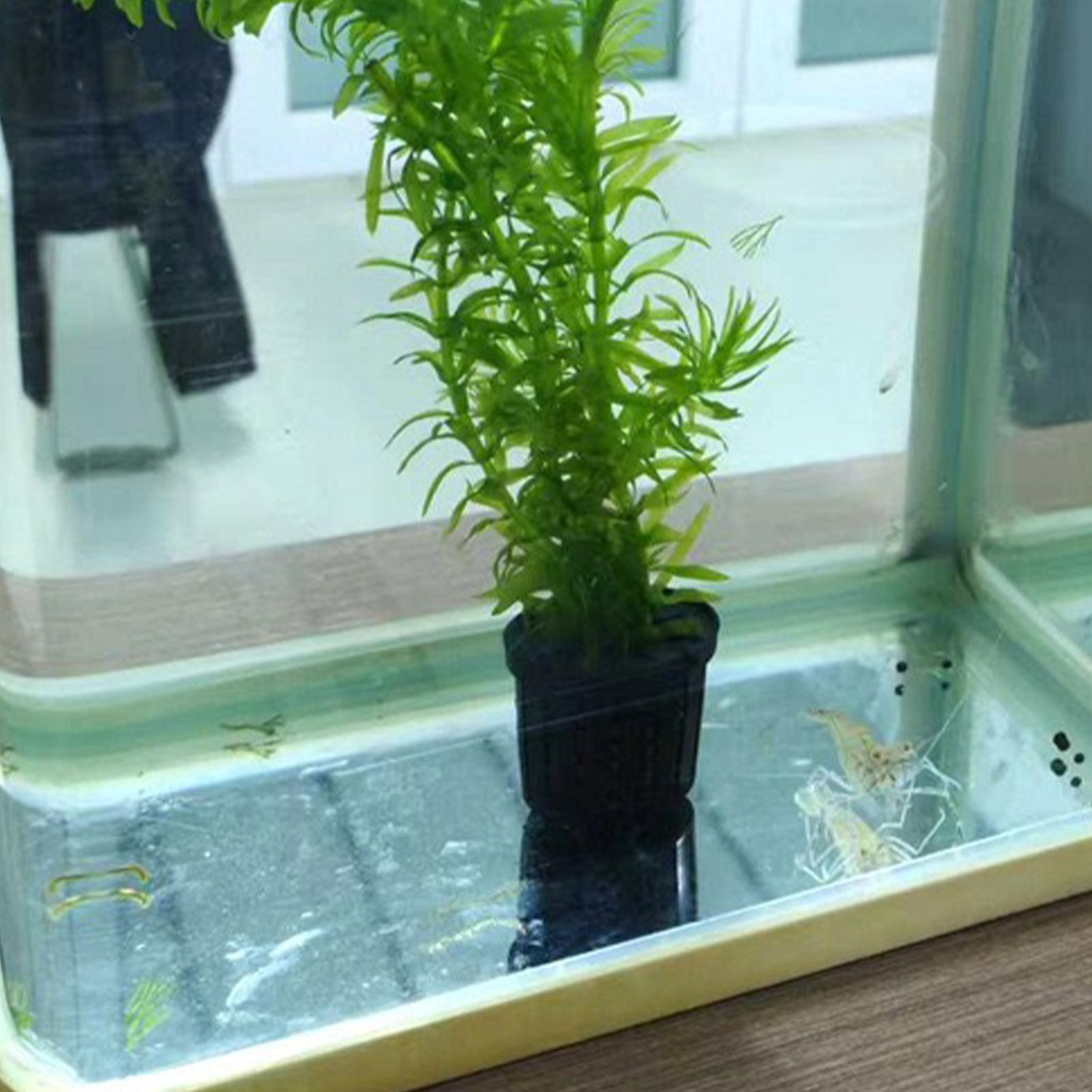 Aquarium Planted Background - 4 Parça Hidroponik Bitki Sepeti Seti