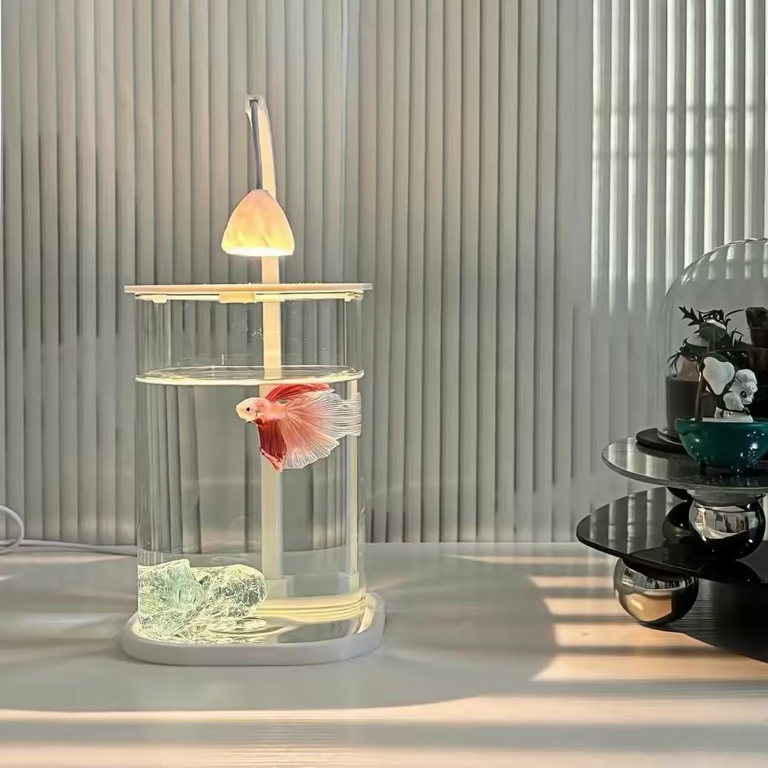 Planted Aquarium Betta - 360 ° Panoramik Şeffaf Masaüstü Balık