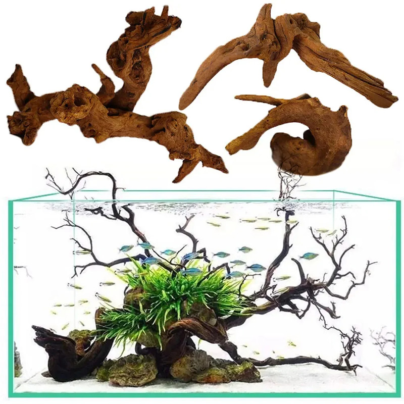 Aquarium Plant Guide - Sıcak Satış Yeni Akvaryum Dekorasyonu Akvaryum