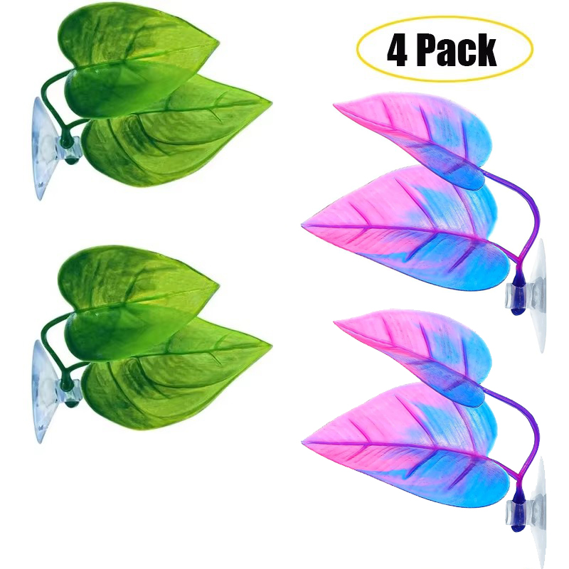 Planted Aquarium Betta - Betta Balık Yaprağı Hamak Betta Yumurtlama