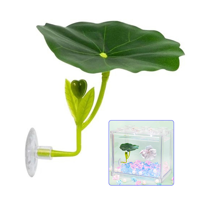 Planted Aquarium Betta - 1 adet yeşil yaprak hamak Betta