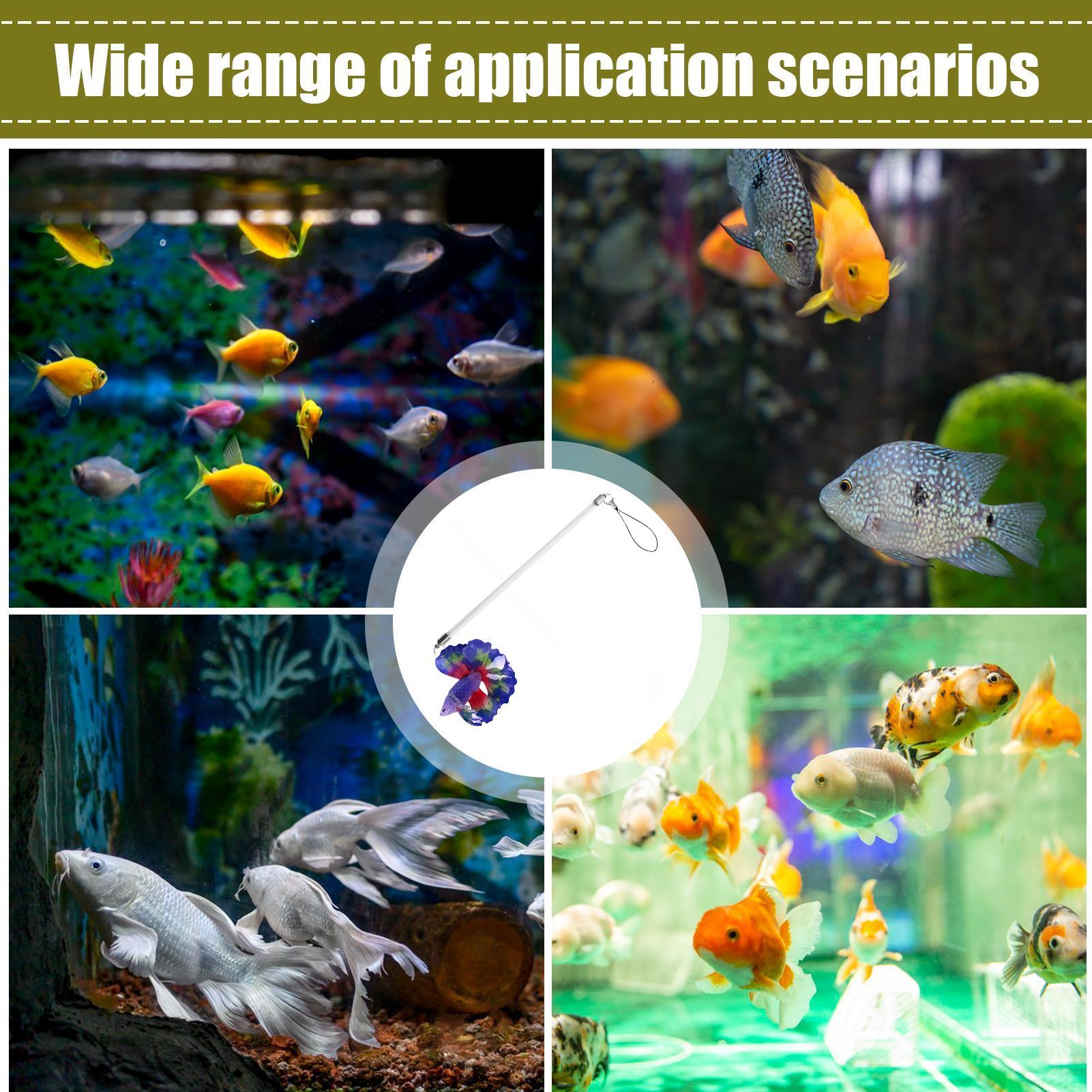 Planted Aquarium For Beginners - Balık Eğitim Çubuğu Gerçekçi Su Egzersiz