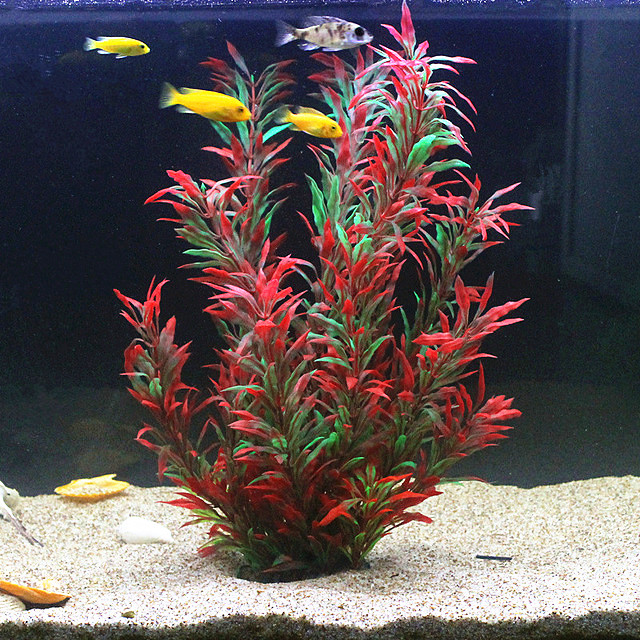 Aquarium Planted Tank - 50 CM Yapay Balık Tankı Nadir