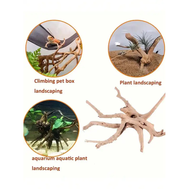 Akvaryum Dekorasyonu için Doğa - Aquarium Plant Guide incelemesi ve fiyatı