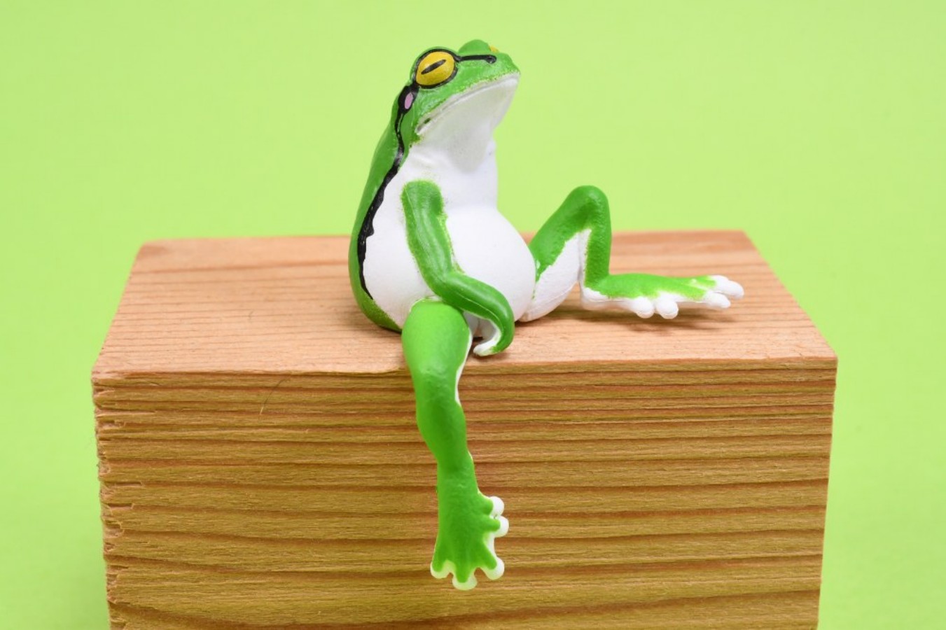 YELL Kapsül Oyuncakları Kawaii - Aquarium Plant Guide incelemesi ve fiyatı