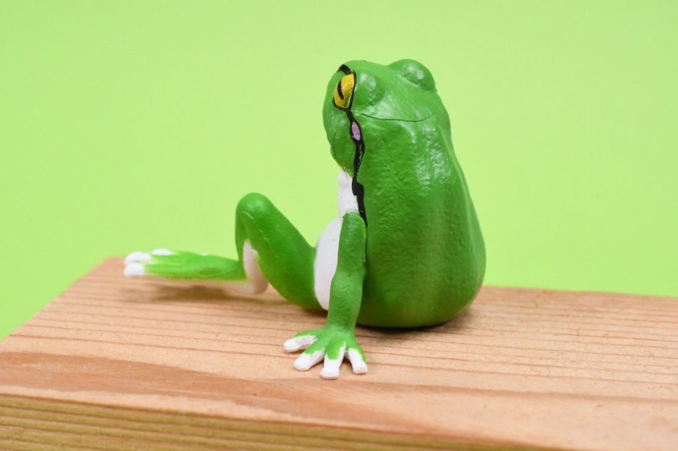 YELL Kapsül Oyuncakları Kawaii - Aquarium Plant Guide incelemesi ve fiyatı