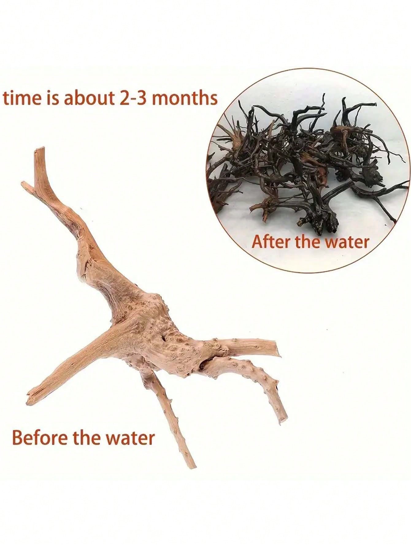 5-10 CM Küçük Doğal Ağaç Gövde - Aquarium Plant Guide incelemesi ve fiyatı