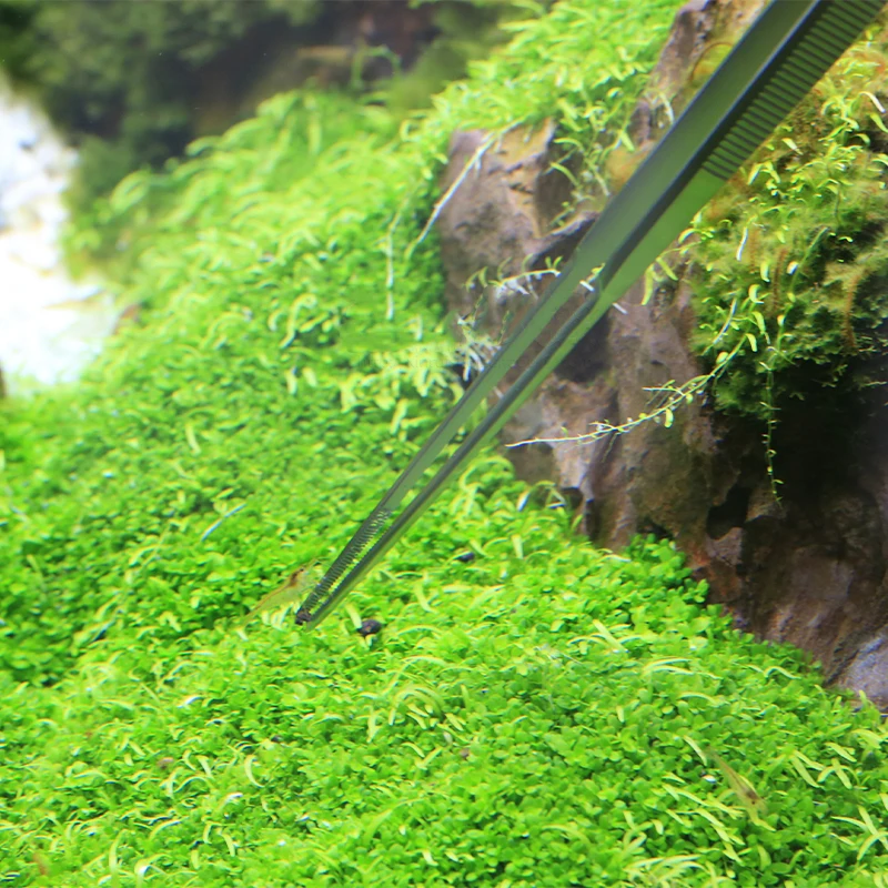 VIV ADA Kaliteli Aquatic Pro C - Planted Aquarium Ada incelemesi ve fiyatı