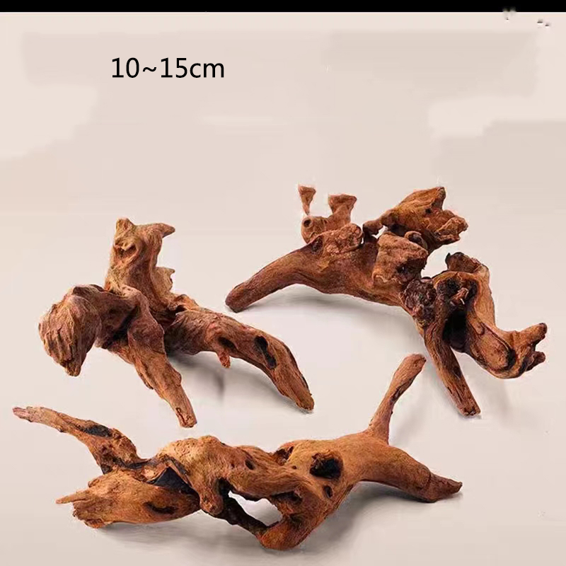 Doğal ağaç gövdesi akvaryum de - Aquarium Plant Guide incelemesi ve fiyatı