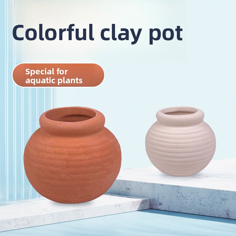 cmomo Akvaryum Bitki Bağlantıl - Planted Aquarium Anubias incelemesi ve fiyatı
