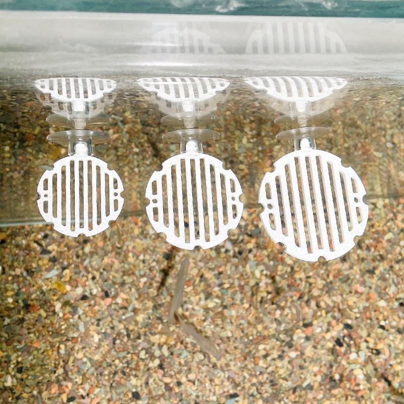 Plastik Balık Tankı Akvaryum Y - Planted Aquarium Betta incelemesi ve fiyatı