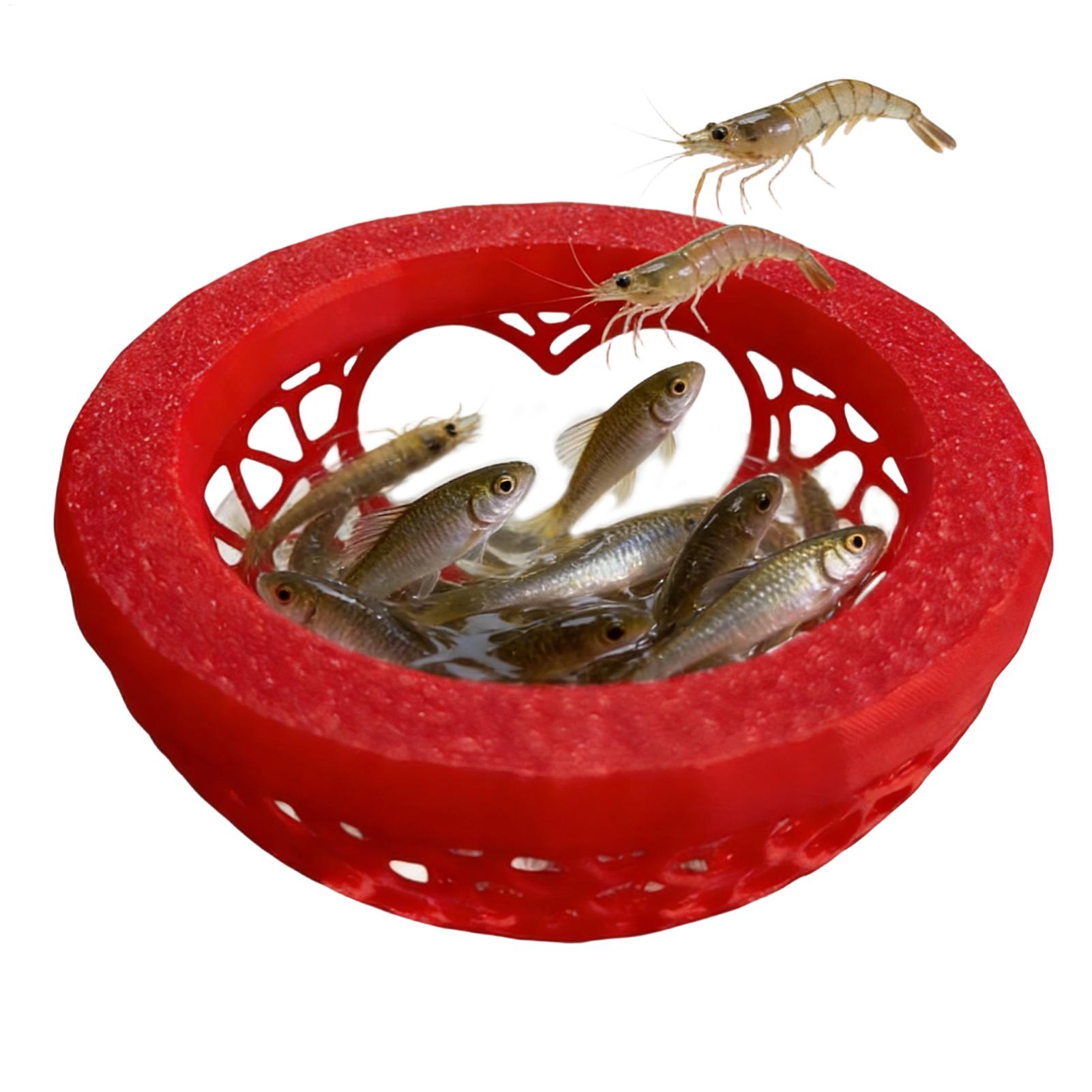 Yüzen beta yuvası Beta hamakı  - Planted Aquarium Betta incelemesi ve fiyatı
