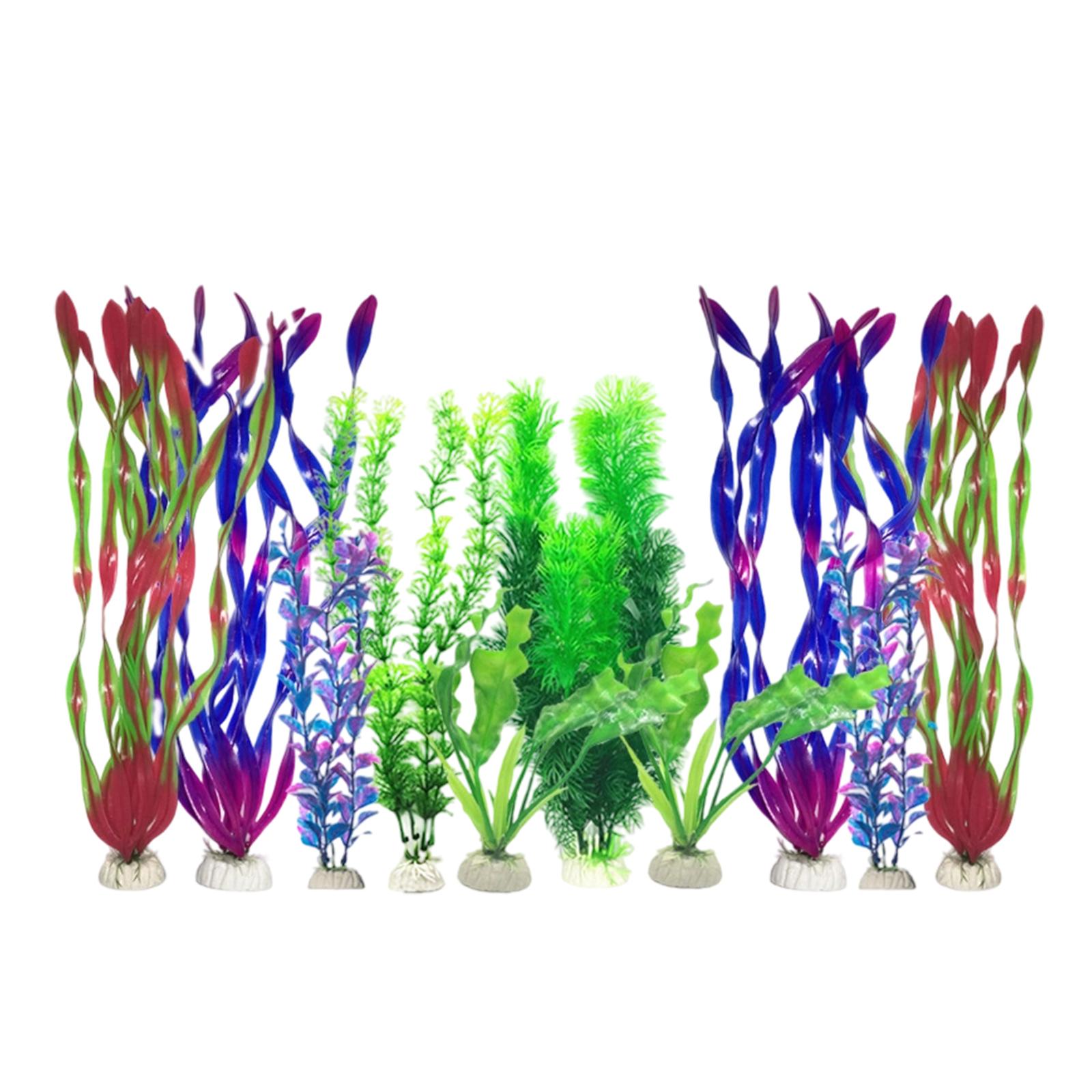 Yapay Akvaryum Bitkileri Seti  - Planted Aquarium Betta incelemesi ve fiyatı