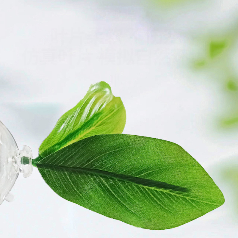1 adet yeşil yaprak hamak Bett - Planted Aquarium Betta incelemesi ve fiyatı