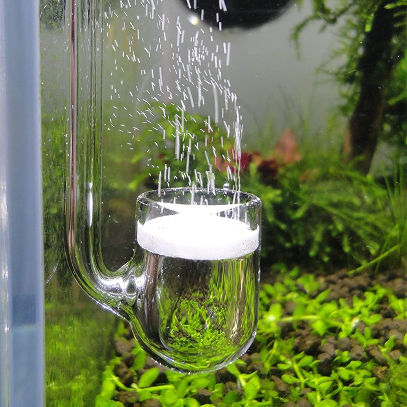 Akvaryum için D0AD Cam CO2 Dif - Aquarium Plant Delivery incelemesi ve fiyatı