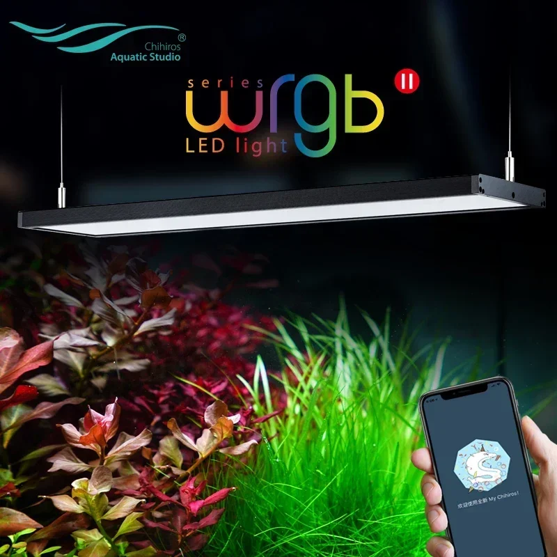Sıcak Satış Su Tesisi Büyütme  - Planted Aquarium Ada incelemesi ve fiyatı