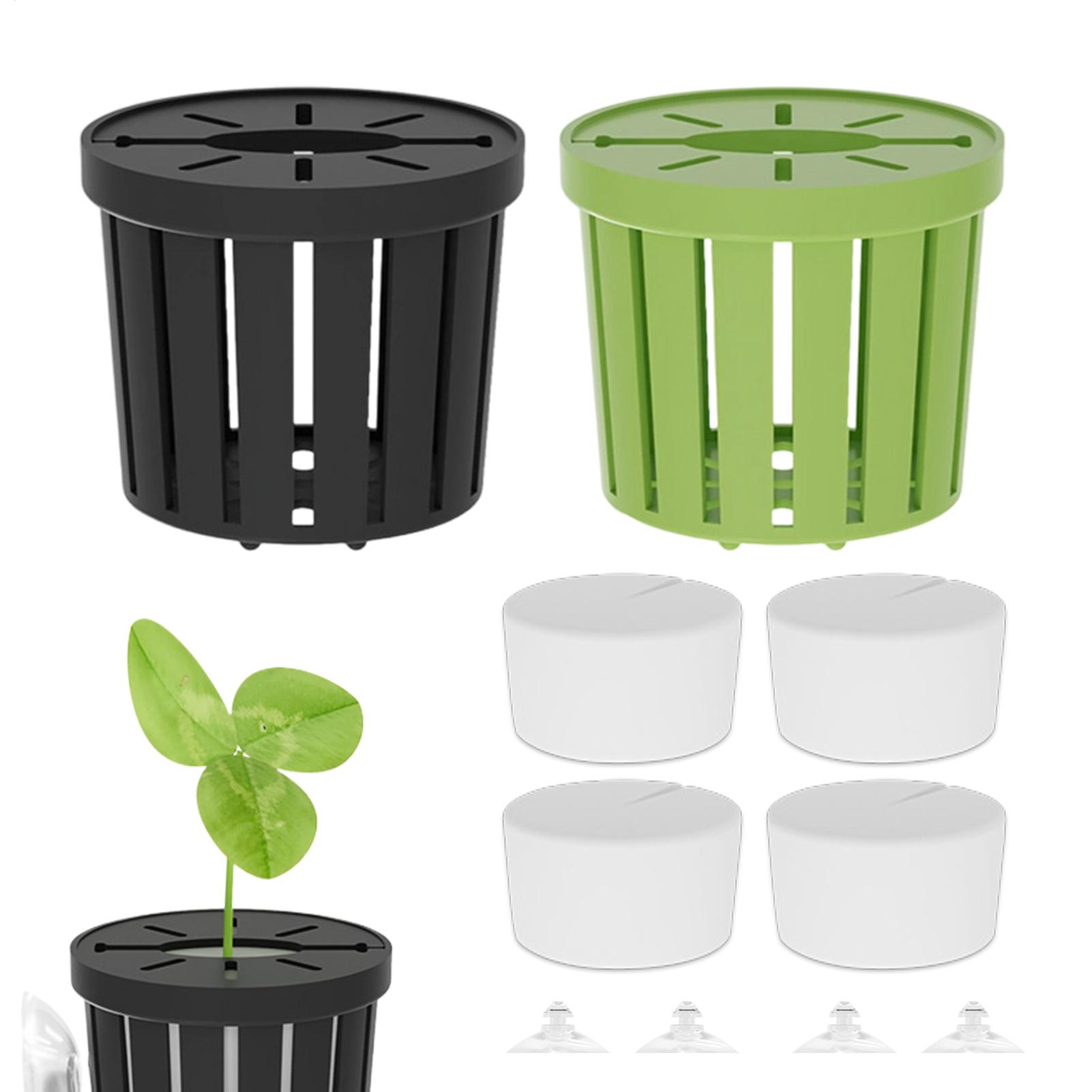 4 Parça Hidroponik Bitki Sepet - Aquarium Planted Background incelemesi ve fiyatı