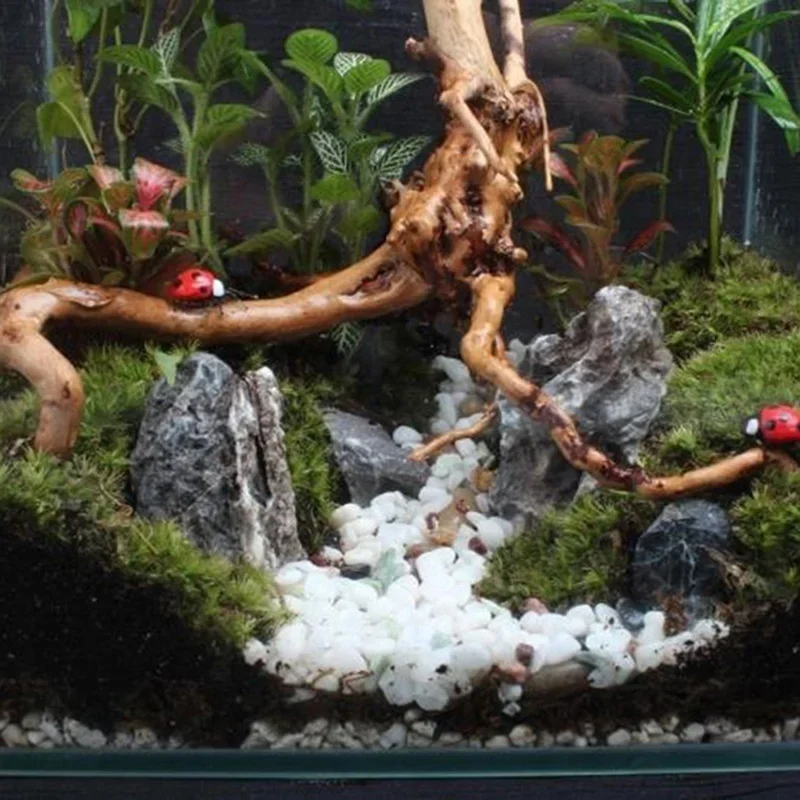 Doğal ağaç gövdesi Driftwood a - Aquarium Plant Guide incelemesi ve fiyatı