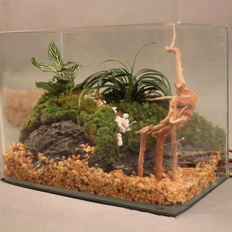 Doğal ağaç gövdesi Driftwood a - Aquarium Plant Guide incelemesi ve fiyatı