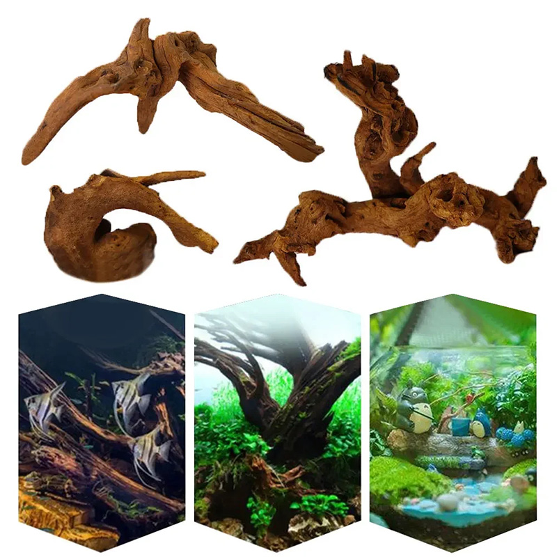 Sıcak Satış Yeni Akvaryum Deko - Aquarium Plant Guide incelemesi ve fiyatı