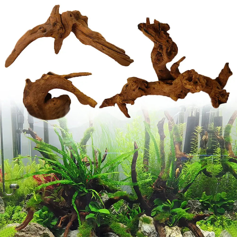 Sıcak Satış Yeni Akvaryum Deko - Aquarium Plant Guide incelemesi ve fiyatı
