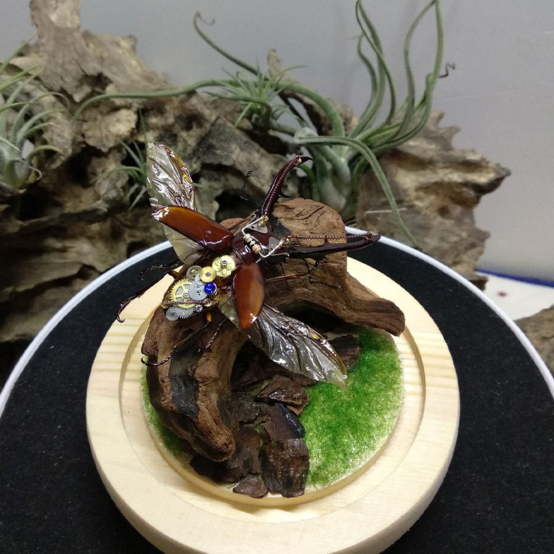 Sıcak Satış Yeni Akvaryum Deko - Aquarium Plant Guide incelemesi ve fiyatı