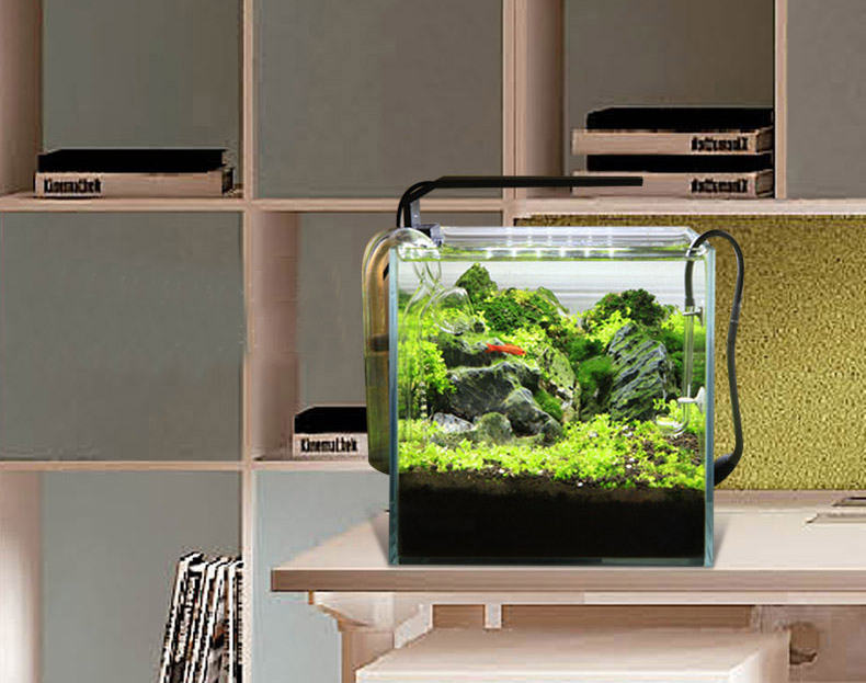 Chihiros C serisi ADA tarzı Bi - Planted Aquarium Ada incelemesi ve fiyatı
