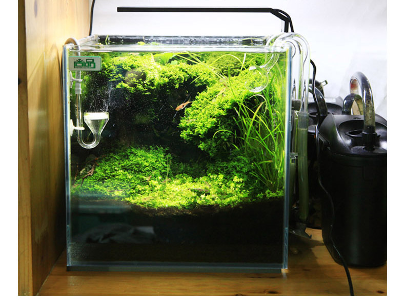 Chihiros C serisi ADA tarzı Bi - Planted Aquarium Ada incelemesi ve fiyatı