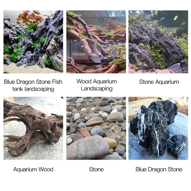 2 adet 5 adet /3/ Yosun Şeffaf - Planted Aquarium With Fish incelemesi ve fiyatı