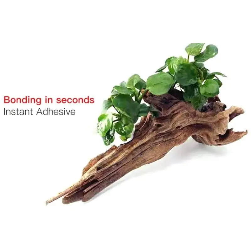 2 adet 5 adet /3/ Yosun Şeffaf - Planted Aquarium With Fish incelemesi ve fiyatı