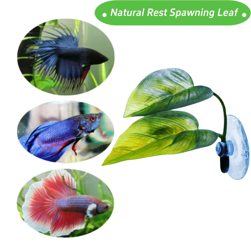 Akvaryum Evcil Hayvan Malzemel - Aquarium Planted Fish Tank incelemesi ve fiyatı