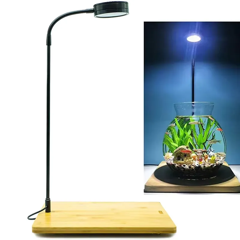 Akvaryum Nano Tankı Betta Balı - Planted Aquarium Betta incelemesi ve fiyatı