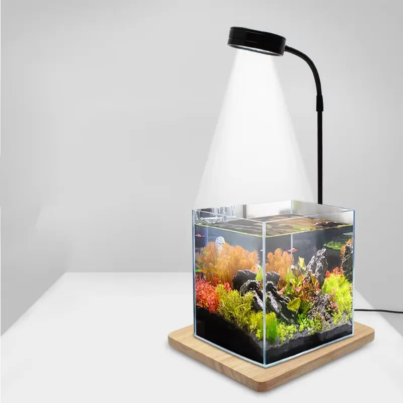 Akvaryum Nano Tankı Betta Balı - Planted Aquarium Betta incelemesi ve fiyatı