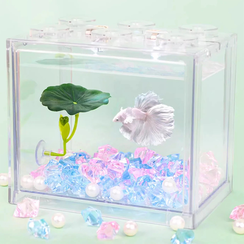 Yeşil Yaprak Hamak Betta Balık - Planted Aquarium Betta incelemesi ve fiyatı