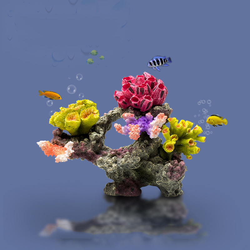 Betta Fishbowl süsler büyük me - Planted Aquarium Betta incelemesi ve fiyatı