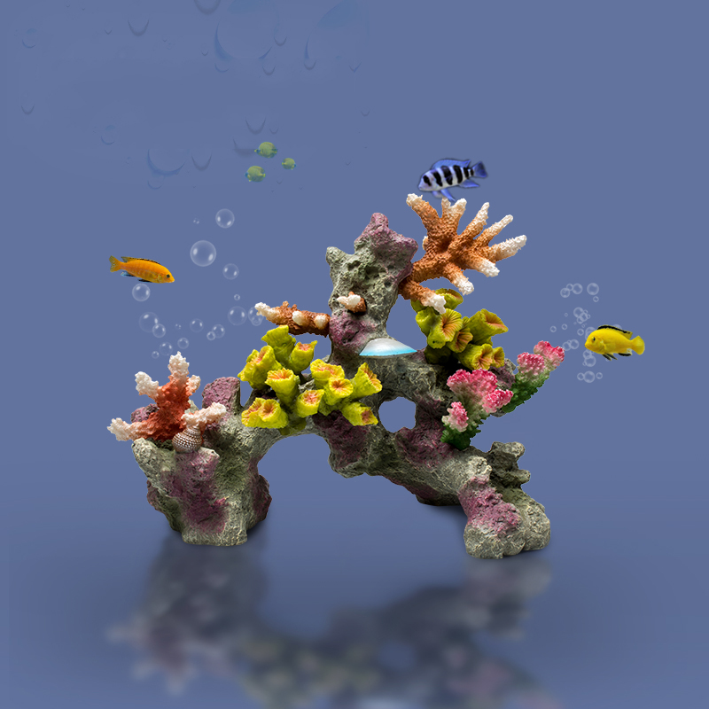 Betta Fishbowl süsler büyük me - Planted Aquarium Betta incelemesi ve fiyatı