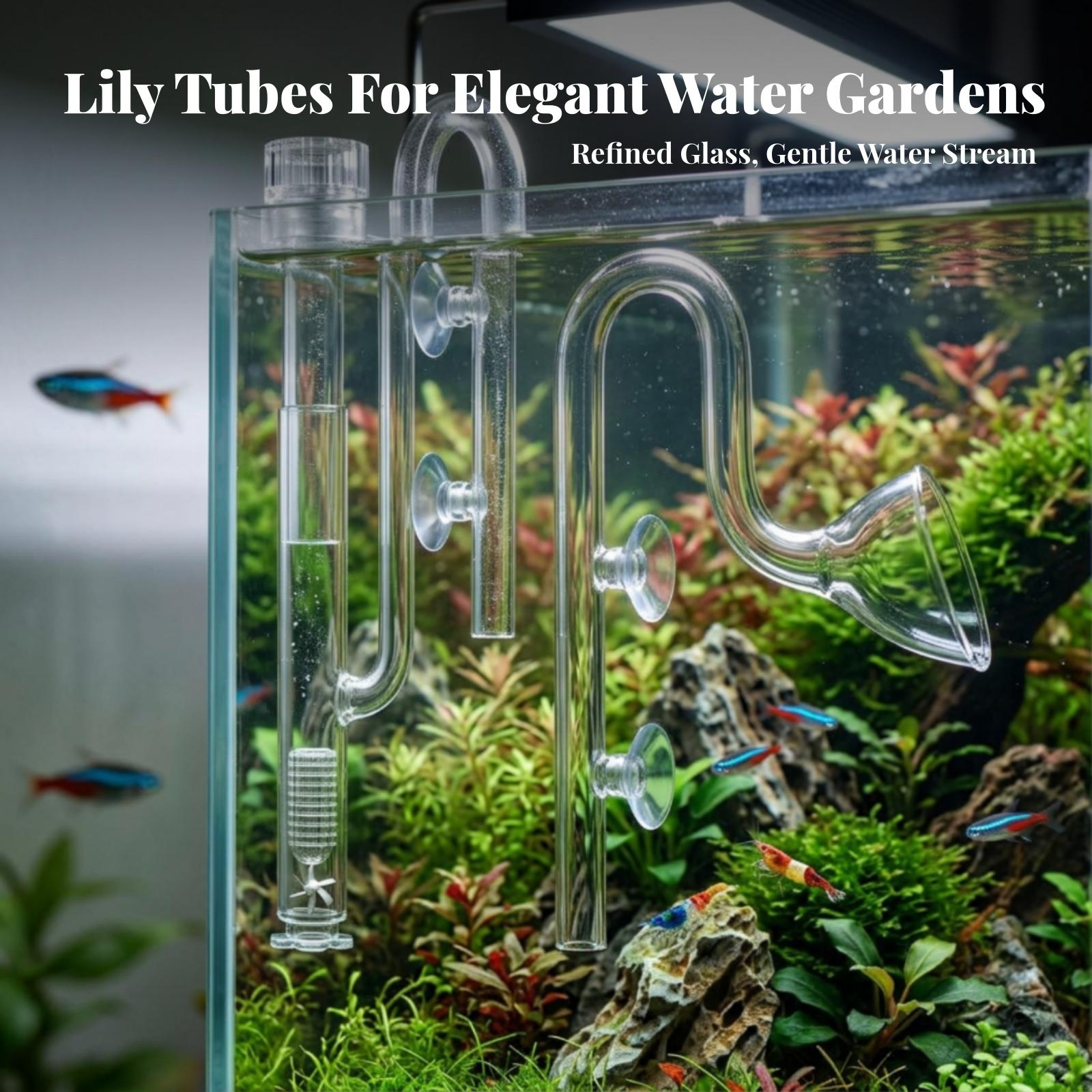 Akvaryum Filtresi Giriş ve Çık - Aquarium Planted Tank incelemesi ve fiyatı