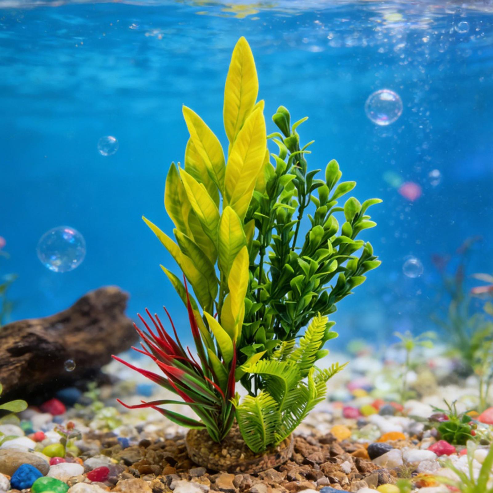 Akvaryum Bitkileri Yapay Karid - Planted Aquarium For Beginners incelemesi ve fiyatı