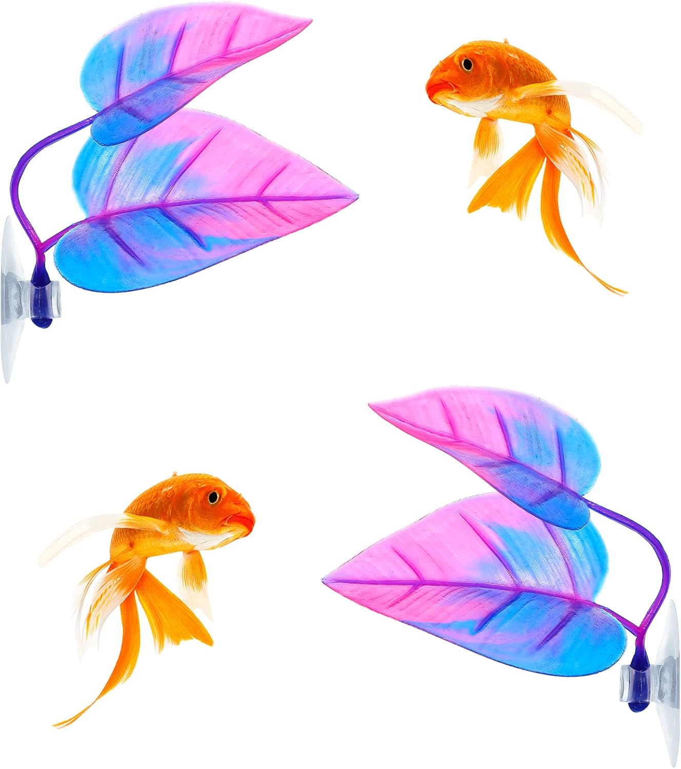 Betta Balık Yaprağı Hamak Bett - Planted Aquarium Betta incelemesi ve fiyatı