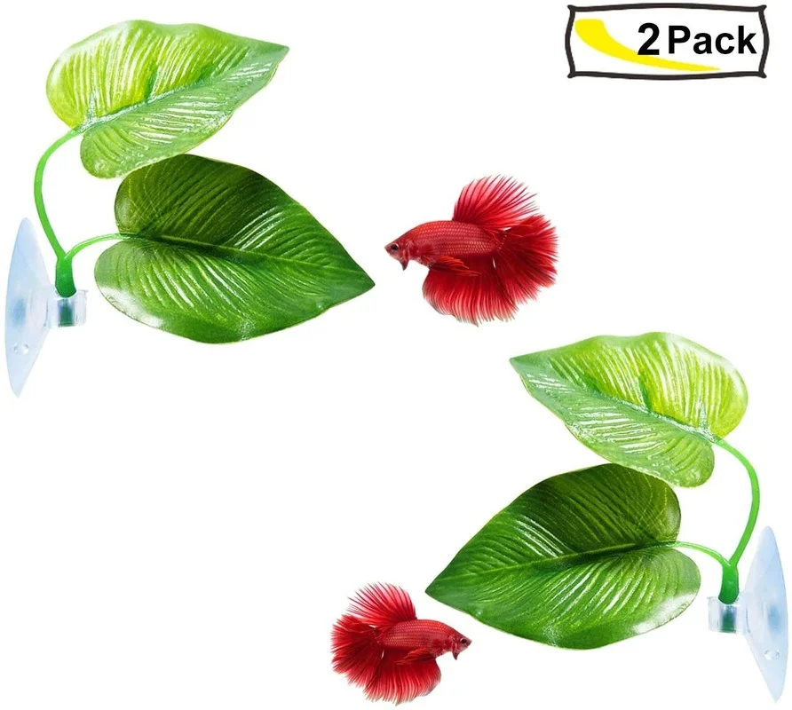 Betta Balık Yaprağı Hamak Bett - Planted Aquarium Betta incelemesi ve fiyatı