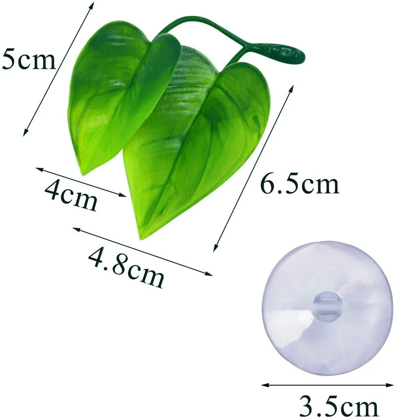 Betta Balık Yaprağı Hamak Bett - Planted Aquarium Betta incelemesi ve fiyatı
