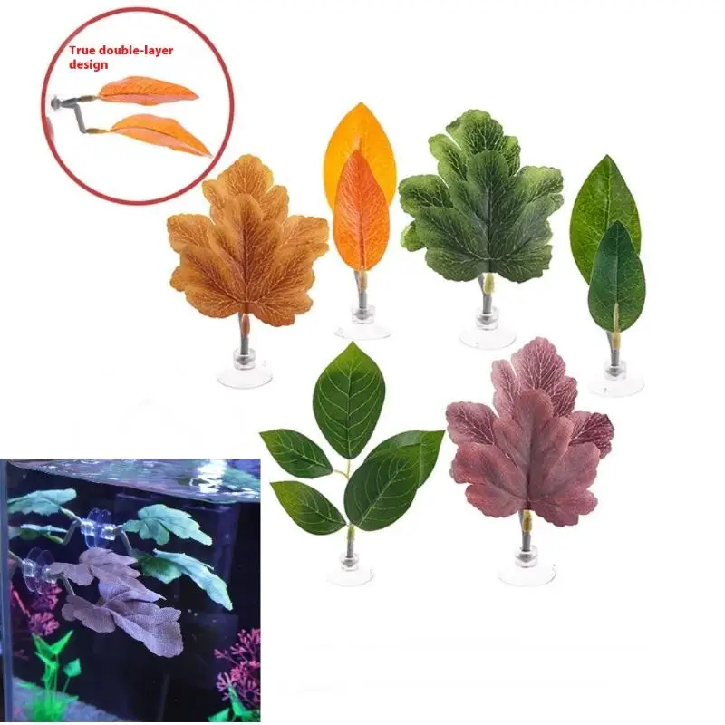 Betta Balığı Yaprak Hamağı Akv - Planted Aquarium Betta incelemesi ve fiyatı