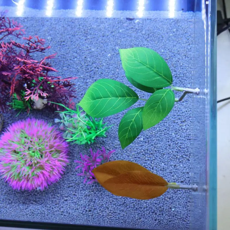 Betta Balığı Yaprak Hamağı Akv - Planted Aquarium Betta incelemesi ve fiyatı