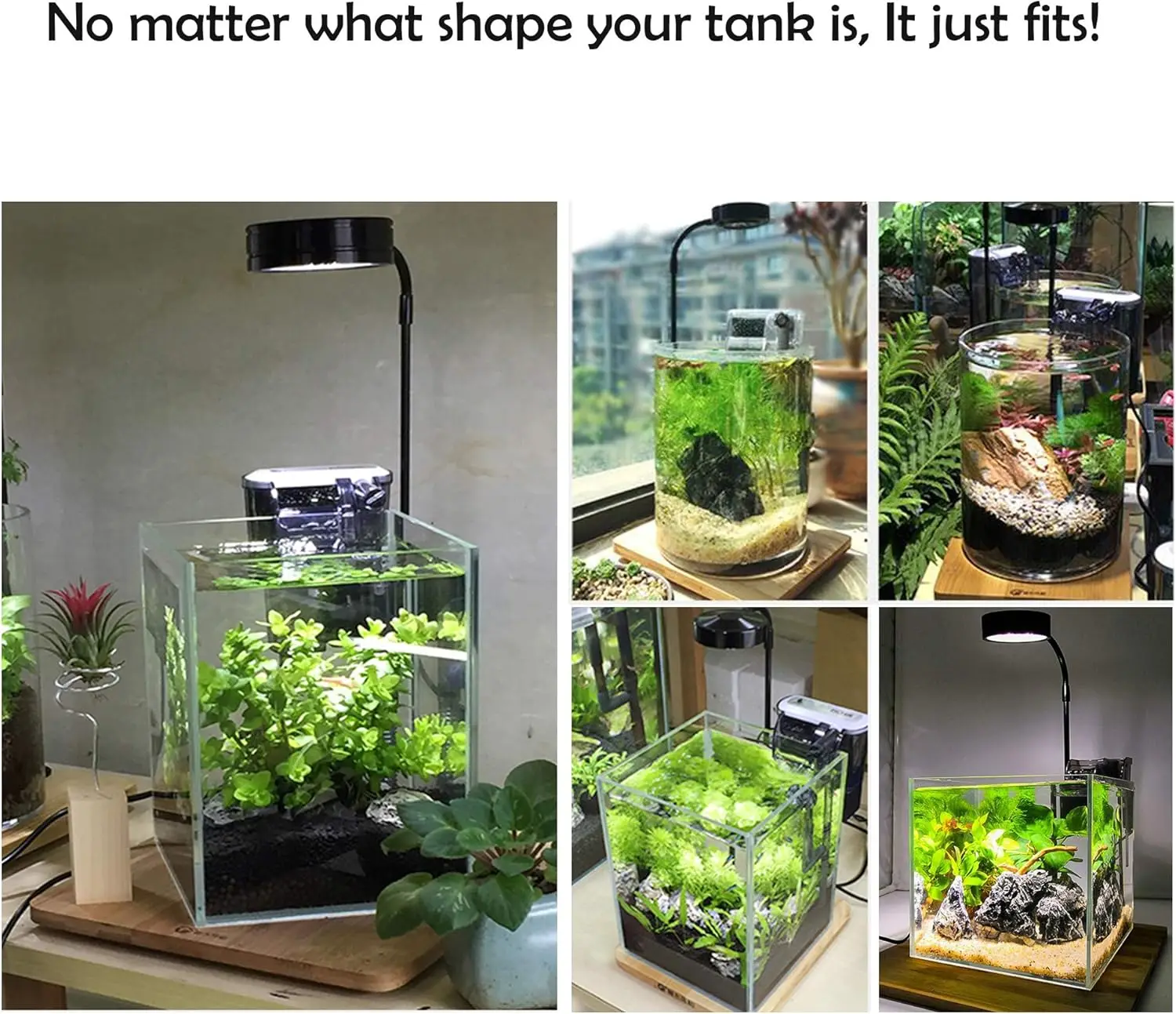 Bambu Tahtalı LED Akvaryum Büy - Planted Aquarium Betta incelemesi ve fiyatı