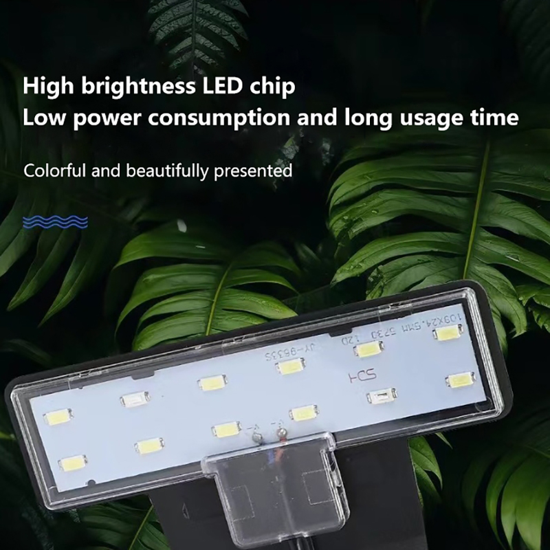【Yeni】Balık Tankı Su Bitkileri - Aquarium Planted Fish Tank incelemesi ve fiyatı