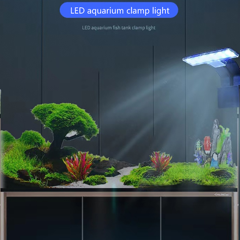 【Yeni】Balık Tankı Su Bitkileri - Aquarium Planted Fish Tank incelemesi ve fiyatı