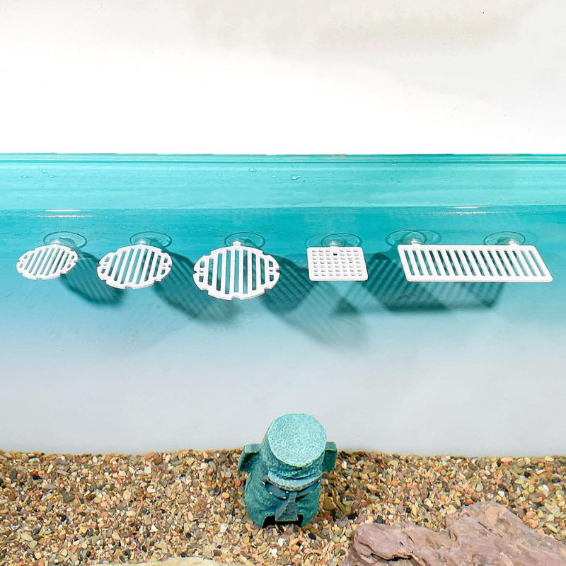 Plastik Balık Tankı Akvaryum Y - Planted Aquarium Betta incelemesi ve fiyatı