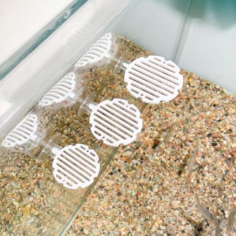 Plastik Balık Tankı Akvaryum Y - Planted Aquarium Betta incelemesi ve fiyatı