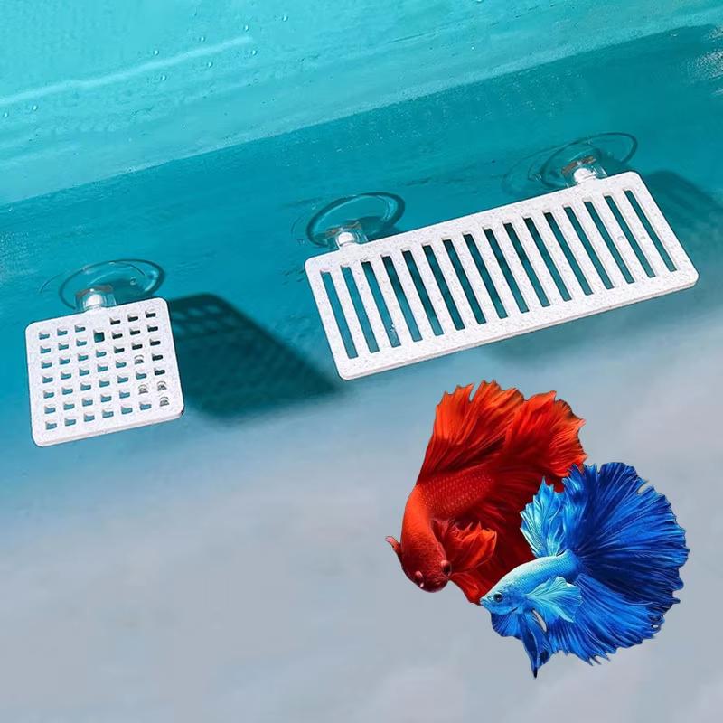 Plastik Balık Tankı Akvaryum Y - Planted Aquarium Betta incelemesi ve fiyatı